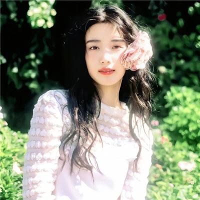 狮子狗行动