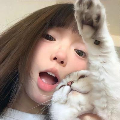 飞鹰人